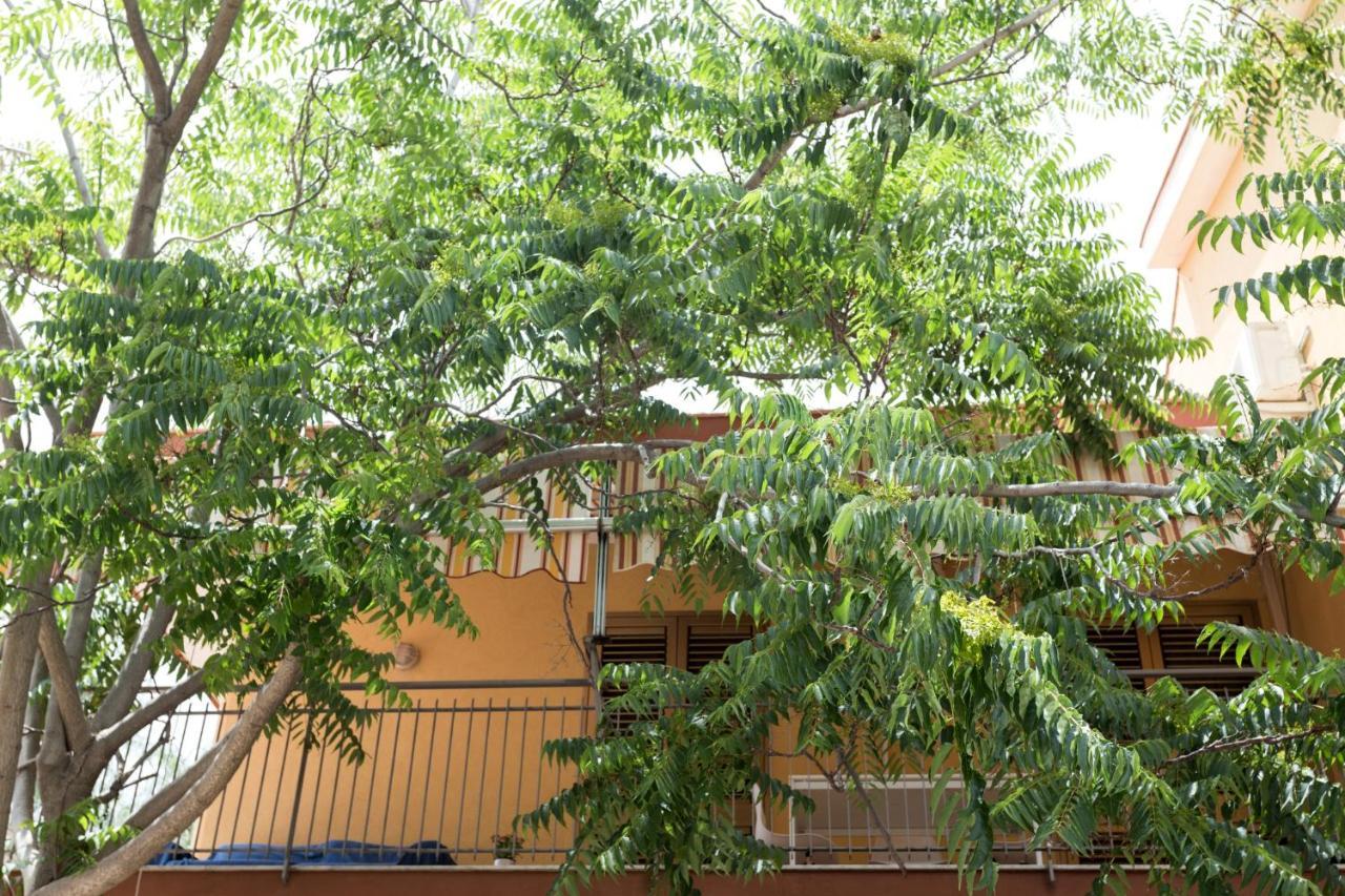 Casa Di Clara Apartment Acireale Exterior foto